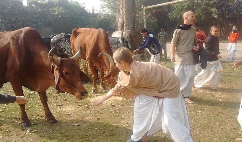 Mayapur A Place For Spiritual Rejuvenation
