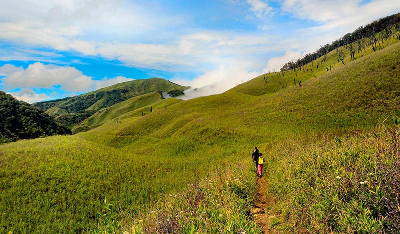 Nagaland  The Land Of Festivals