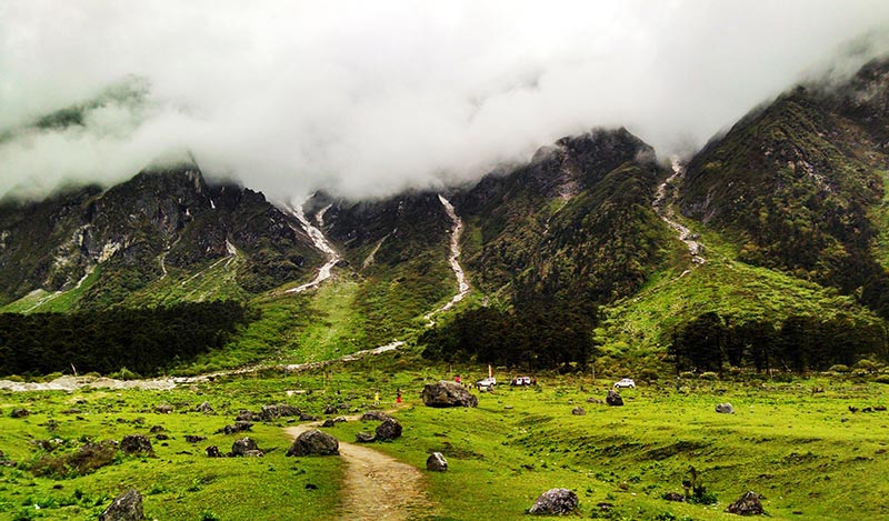 Yumthang Valley Of Flowers In Sikkim