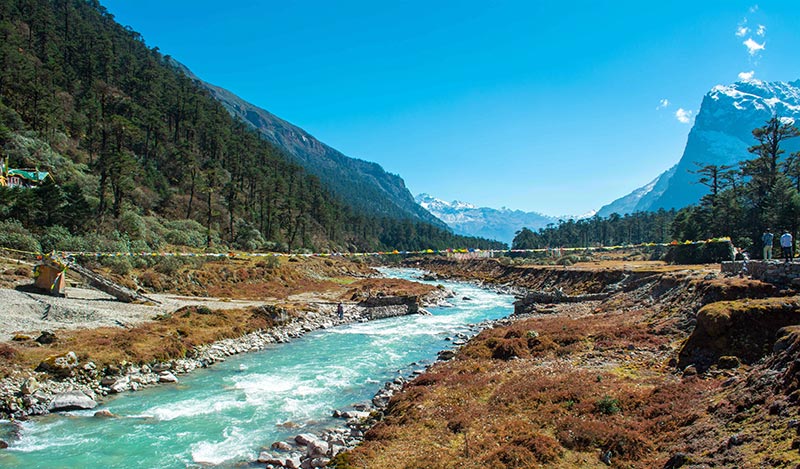 Yumthang Valley Of Flowers In Sikkim